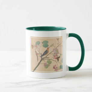 Mug Grive et mite moulues sur une branche d'orchidée