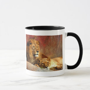 Mug Gros Chats - 6
