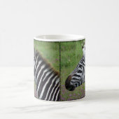 Mug Gros plan de Ngorongoro Zebra (Centre)