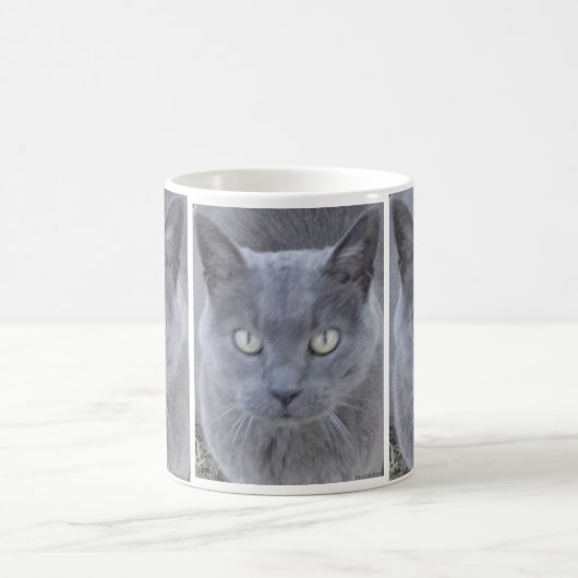 Mug Gros plan du visage de chat gris (Centre)