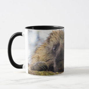 Mug Gros plan d'un porc-épic dans un arbre