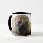 Mug Gros plan d'un porc-épic dans un arbre (Devant gauche)
