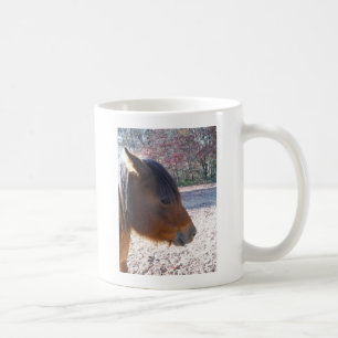 Mug Gros plan sur un cheval brun, petit poney brun