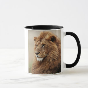 Mug Gros plan sur un lion mâle