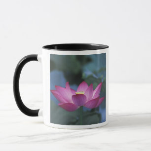 Mug Gros plan sur une fleur de lotus rouge et des feui