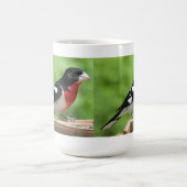 Mug Grosbeak à poitrine rose (Centre)