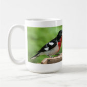 Mug Grosbeak à poitrine rose (Gauche)