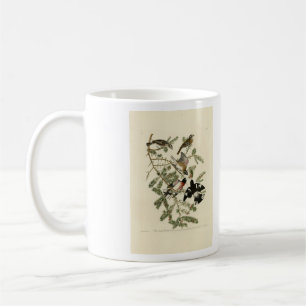 Mug Grosbeak à poitrine rose, Oiseaux d'Amérique d'Aud