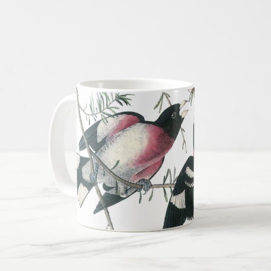 Mug Grosbeak à poitrine rose par Audubon (Devant gauche)