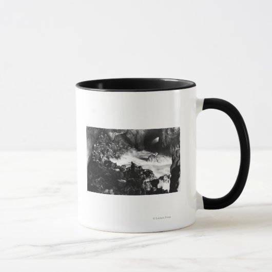 Mug Grottes de lions de la mer de l'Oregon Vue intérie (Droite)