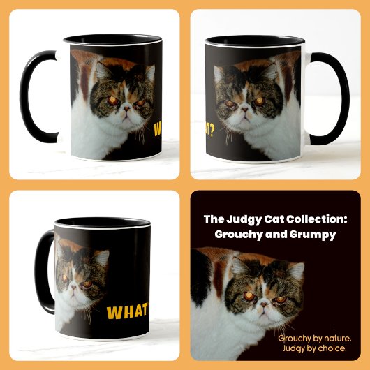 Mug Grouchy Exotic Shorthair “WHAT?” Judgy Cat