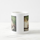 Mug Groundhog (Centre)