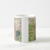 Mug Groundhog (Centre)