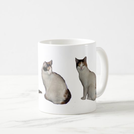 Mug Groupe Calico (Devant droit)
