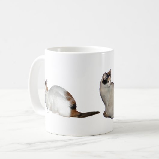 Mug Groupe Calico (Devant gauche)