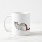 Mug Groupe Calico (Gauche)