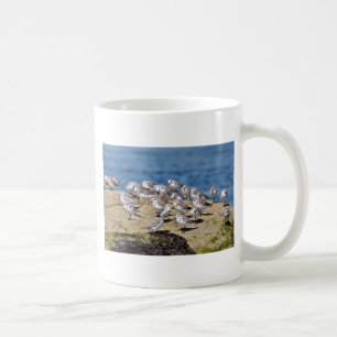 Mug Groupe de Petits Séjours à Quiberon en France