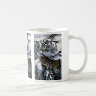 Mug Grouse de Ruffed étée perché dans un arbre neig