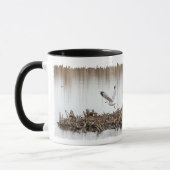 Mug Grue de Sandhill chassant des mouettes (Gauche)
