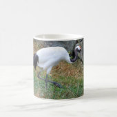 Mug Grus japonisis (Centre)
