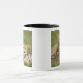 Mug Guépard, Acinonyx jubatus, avec un petit (Centre)