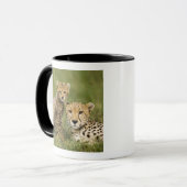 Mug Guépard, Acinonyx jubatus, avec un petit (Devant gauche)