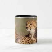Mug Guépard allongé dans l'herbe, Ngorongoro Conservat (Centre)