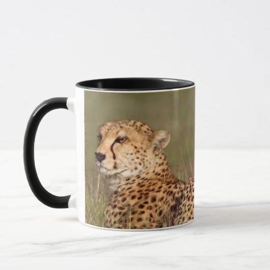 Mug Guépard allongé dans l'herbe, Ngorongoro Conservat (Gauche)