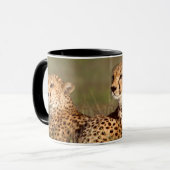Mug Guépard allongé dans l'herbe, Ngorongoro Conservat (Devant gauche)