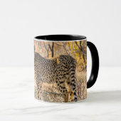 Mug Guépard regardant autour (Devant droit)