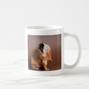Mug guinea pigs