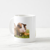 Mug guinea pigs on a lawn (Devant gauche)