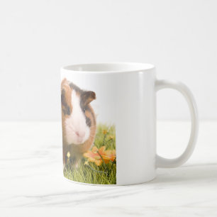 Mug guinea pigs on a lawn