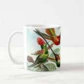 Mug Haeckel Hummingbirds (Gauche)