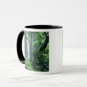 Mug Hanakapiai tombe le long de la côte de Na Pali, à  (Devant gauche)