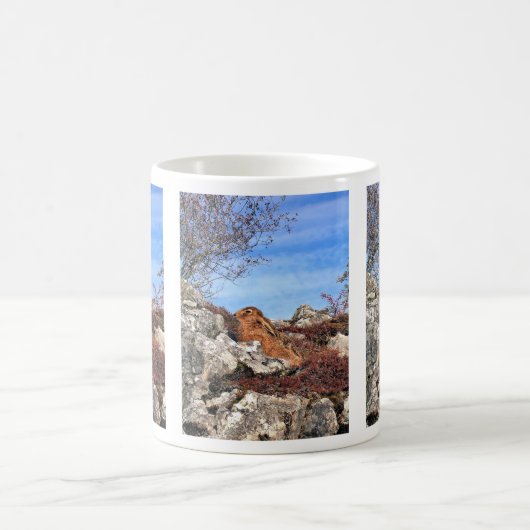MUG HARE DE MONTAGNE (Centre)