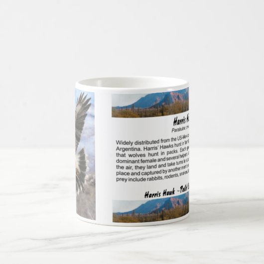 Mug Harris colportent le pastel (Centre)