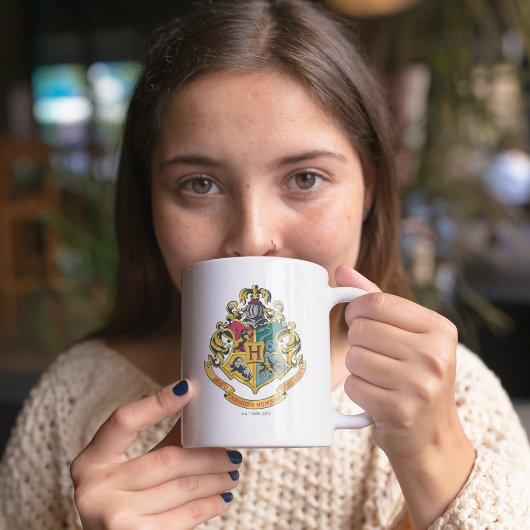 Mug Harry Potter | Blason de Poudlard - Couleurs compl