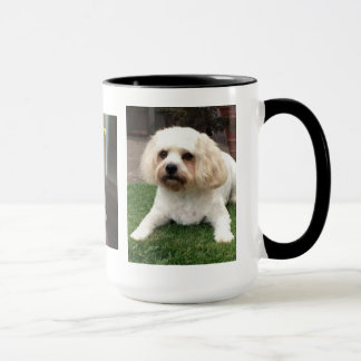Mug Harvey le Cavahon