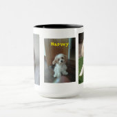 Mug Harvey le Cavahon (Centre)