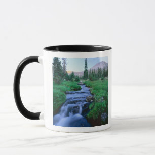 Mug HAUTE SAUVAGE DE L'UINTAS, UTAH. Forêt de Stillwa