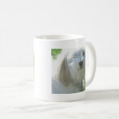 Mug Havanese (Devant droit)
