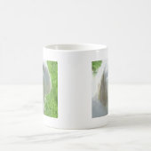Mug Havanese (Centre)