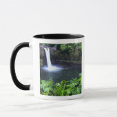Mug Hawaï, Big Island, Hilo, Rainbow Falls, Lush (Gauche)