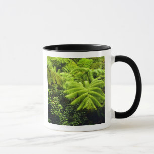 Mug Hawaii, Grande Ile, Verdure tropicale luxuriante e