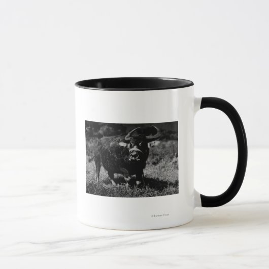 Mug HawaiiA Water Buffalo Photo Hawaii (Droite)