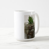 Mug Hawarthia Succulent (Devant droit)