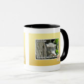 Mug Haz I un fou (Devant droit)
