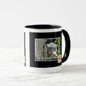 Mug Haz I un fou (Devant droit)