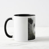 Mug Heidi L'Opossum Osé À Croix (Gauche)